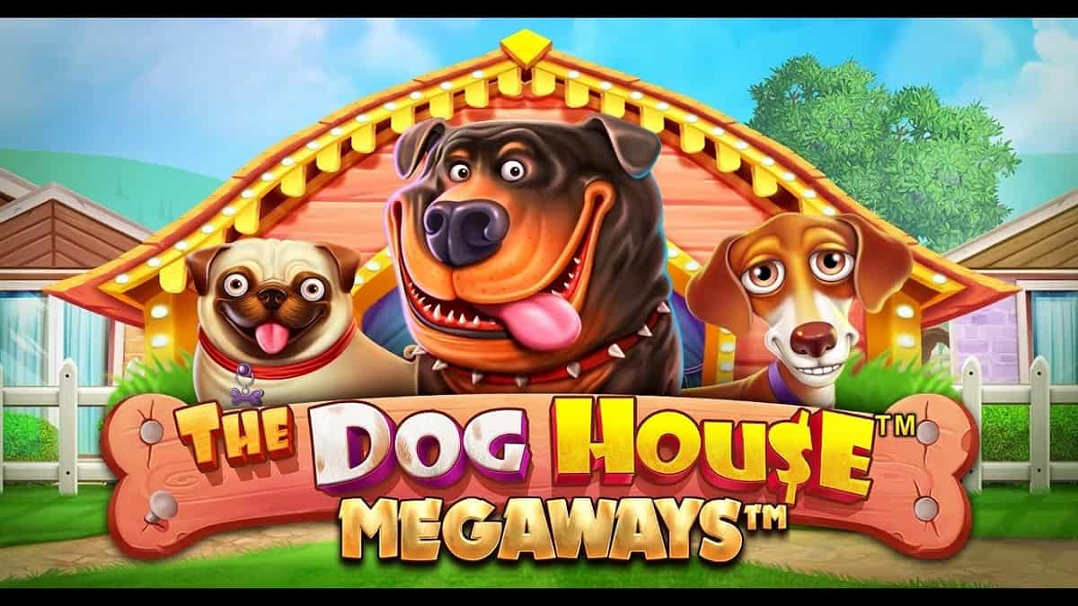 The dog Household Megaways Slot Comment Epic 96 55percent RTP